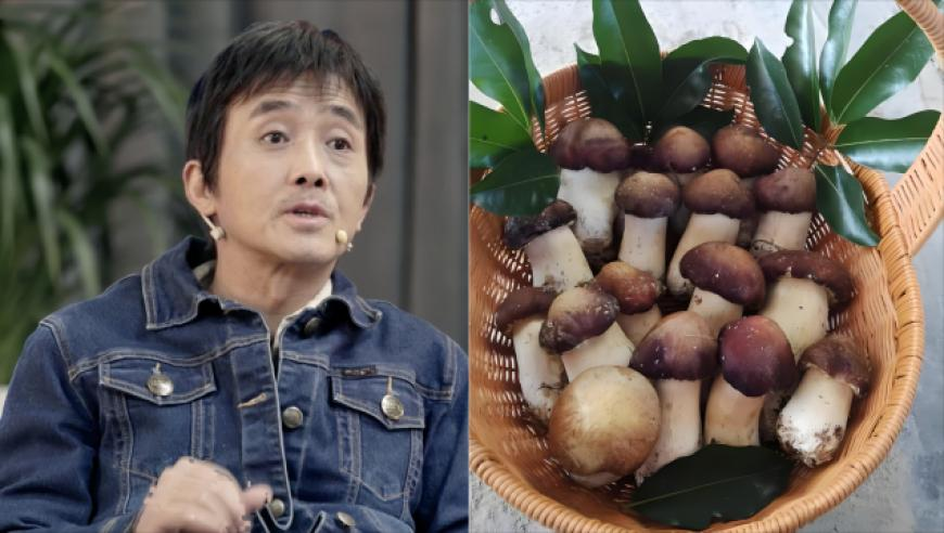 姐姐出嫁弟弟哭成泪人,2025澳门开彩开奖结果查询,最新核心解答落实_黄金版V15.50