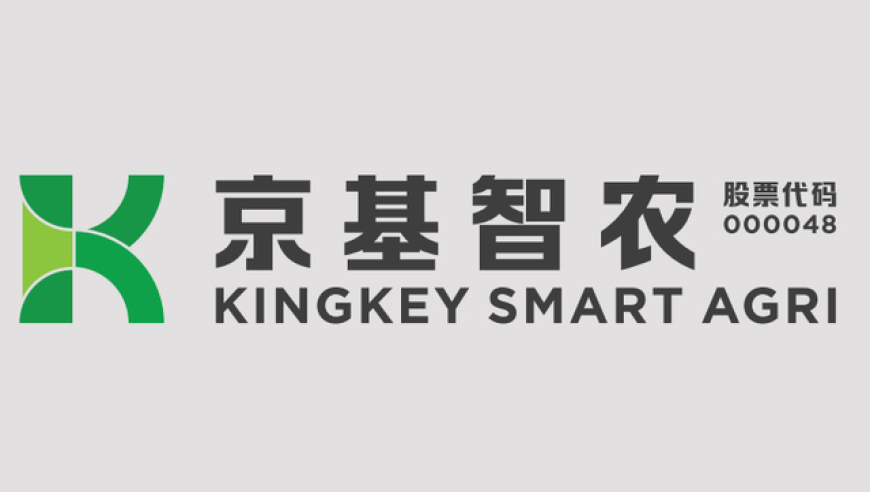 记者调查宠物免费领养陷阱,376969跑狗论坛跑狗科技人生,广泛的解释落实支持计划_工具版V13.92