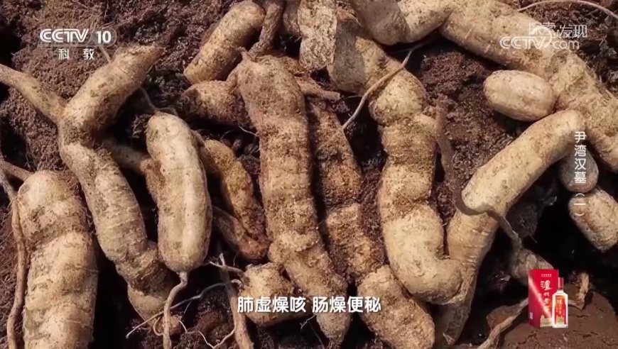 核酸大王张核子被限高,澳门彩一肖一码,最新答案解释落实_豪华版V9.71